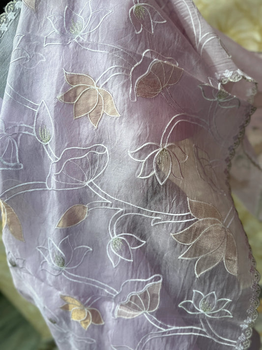 Organza Tissue Applique Saree