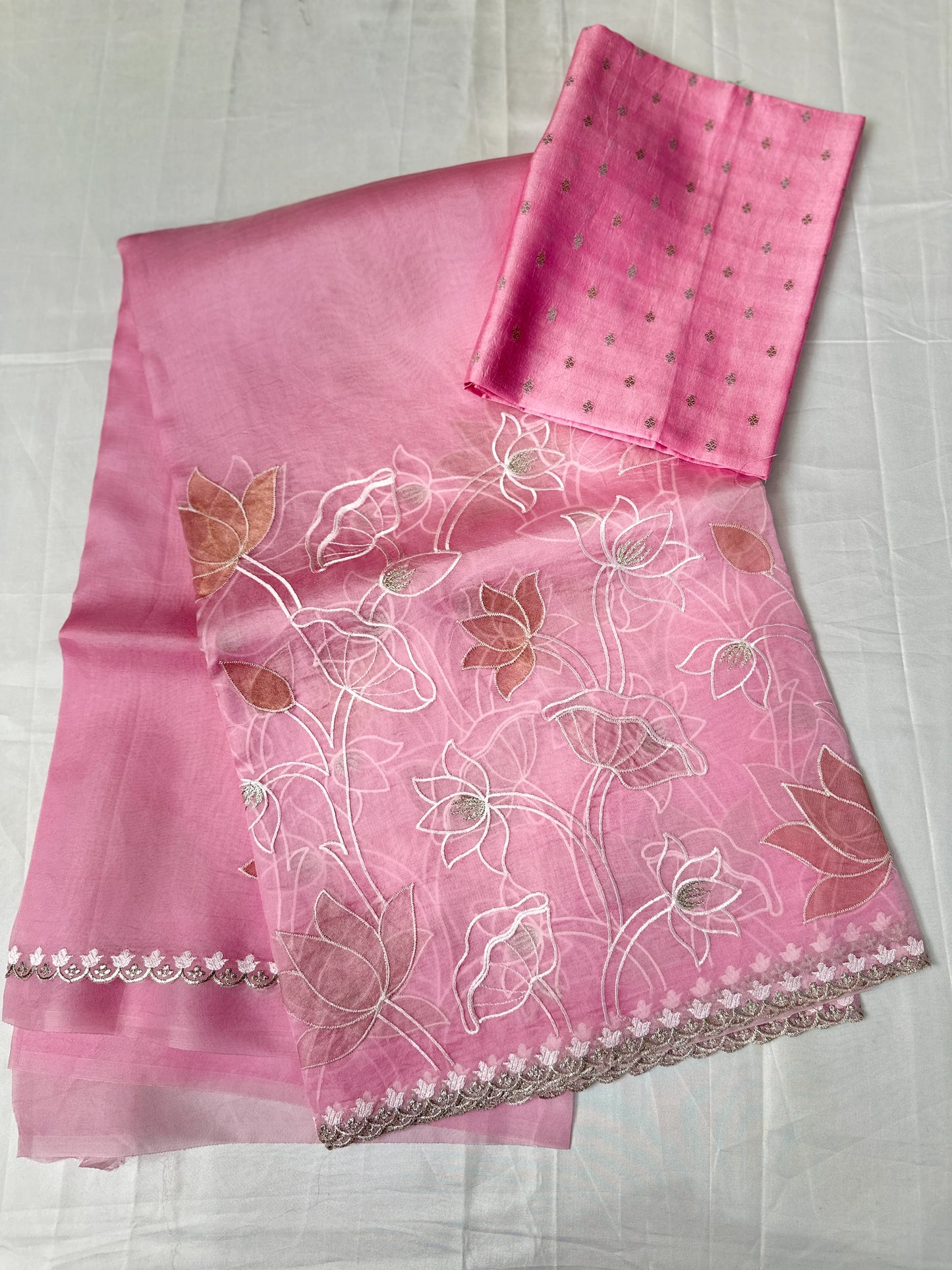 Organza Tissue Applique Saree